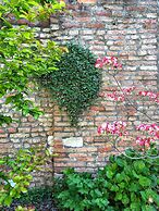 Madama garden retreat