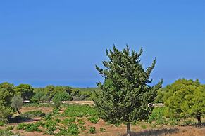 Pine Cottege Korakonisi Inlet