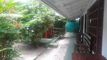 Cabinas Balcon de Mar Tortuguero