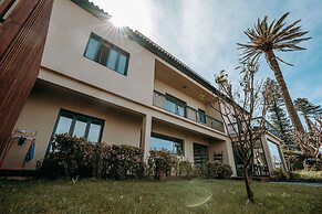 Volcanic Charming House