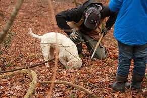 Residence Gold Istra