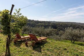 Residence Gold Istra