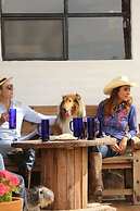 Echological - Glamping