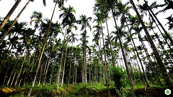 Hiliya Resort - Hostel