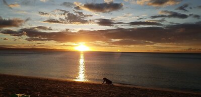 Evangeline Beach Resort