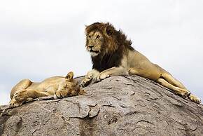 Nyikani Camp- Central Serengeti