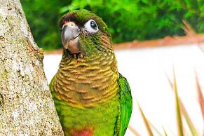 VELINN Pousada Sol Nascente