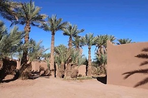 Desert Camping