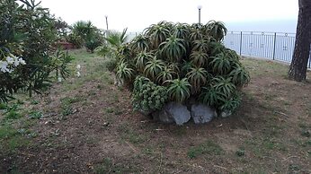 Paradise Bed & Breakfast