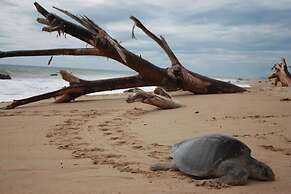 Dayz Hotel Caleta De Campos