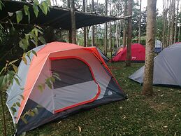 Murchison Backpackers