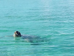 Thalassa Beach and Pool Villa