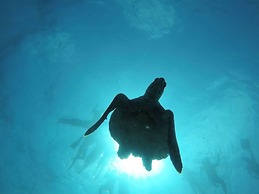 Thalassa Beach and Pool Villa