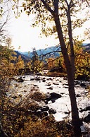 The Last Resort Lodge