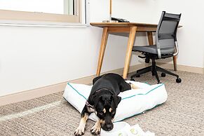 Element Scottsdale at SkySong