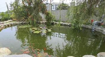 All Around The Seasons B&B