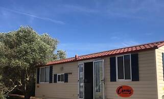 Tiny Casa - Mobile House