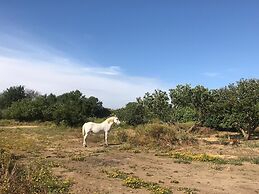 Tiny Casa - Mobile House