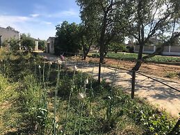 Tiny Casa - Mobile House