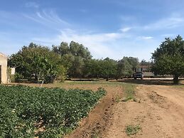 Tiny Casa - Mobile House