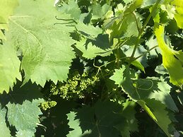 Tiny Casa - Mobile House