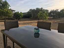 Tiny Casa - Mobile House