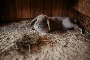 Ferienparadies Lerch