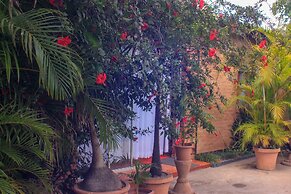 Lillo Executive Lodge