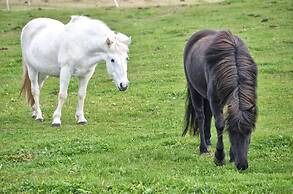 Saltvík Farm Guesthouse