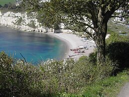 Belmont House Beer - Adults Only