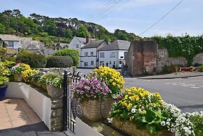 Belmont House Beer - Adults Only