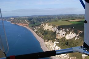 Belmont House Beer - Adults Only