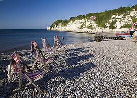 Belmont House Beer - Adults Only