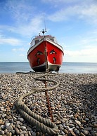 Belmont House Beer - Adults Only