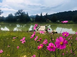 Cabañas Sierra del Tecuan