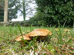 Country House Santa Felicita la Paterna