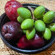 Mystic Ridge Resort Apt 57