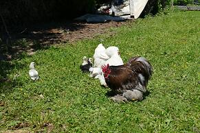 Haag Zimmervermietung