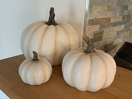 Ferienwohnung Gartenblick