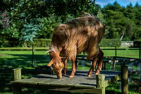 Rawcliffe House Farm