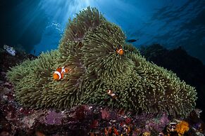 Siddhartha Oceanfront Resort & Spa Bali