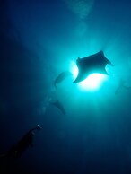 Siddhartha Oceanfront Resort & Spa Bali