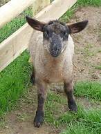 Birchill Farm Holiday Cottages