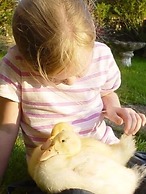 Birchill Farm Holiday Cottages