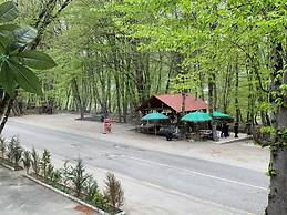 Gachresh Forest Resort