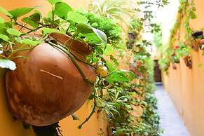 Casa Maricela B&B