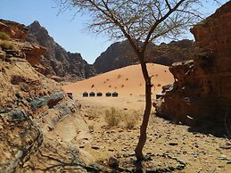 Wadi Rum Blue Sky and Tour