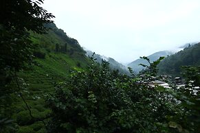 Yeşil Doğa Bungalov