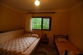 Yeşil Doğa Bungalov