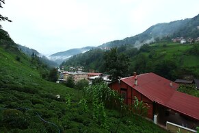 Yeşil Doğa Bungalov